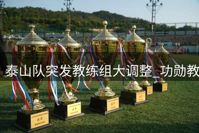 泰山队突发教练组大调整 功勋教练离任唐田临危受命